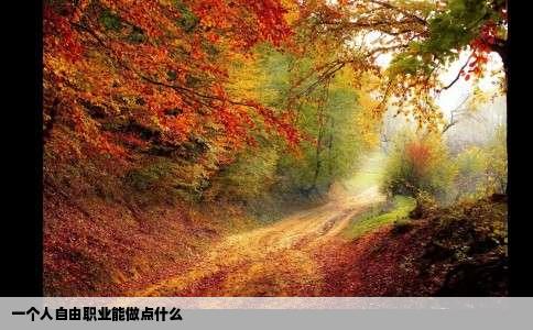 一个人自由职业能做点什么