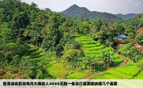 我是自由职业每月大概收入4000五险一金自己需要缴纳哪几个需要