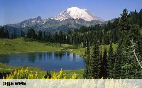 社群运营好吗