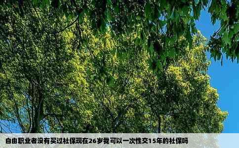 自由职业者没有买过社保现在26岁我可以一次性交15年的社保吗