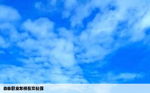 自由职业怎样在交社保