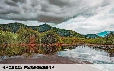 技术工具选型：开发者必备效率插件榜