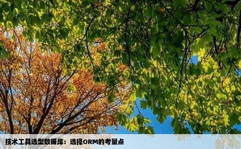 技术工具选型数据库：选择ORM的考量点