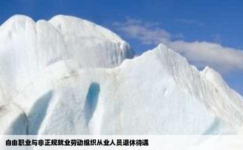 自由职业与非正规就业劳动组织从业人员退休待遇