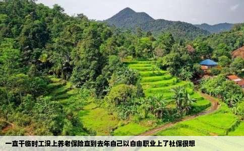 一直干临时工没上养老保险直到去年自己以自由职业上了社保很想