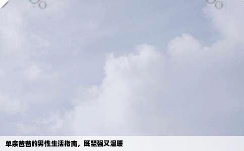 单亲爸爸的男性生活指南，既坚强又温暖