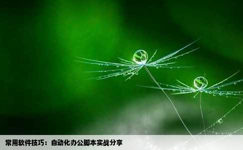 常用软件技巧：自动化办公脚本实战分享