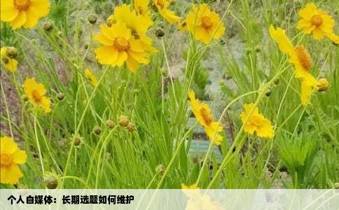 个人自媒体：长期选题如何维护