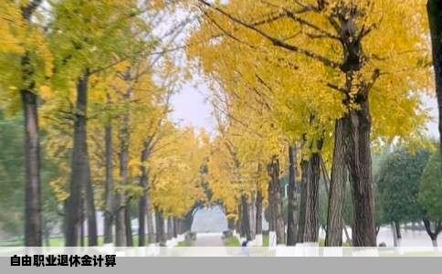 自由职业退休金计算