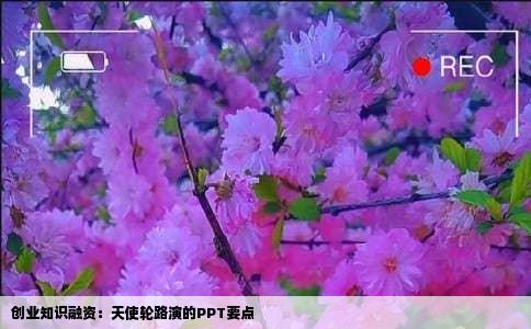 创业知识融资：天使轮路演的PPT要点