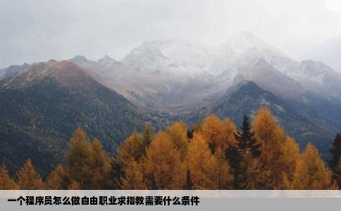 一个程序员怎么做自由职业求指教需要什么条件