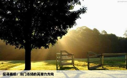 探寻商机：冷门市场的高潜力方向