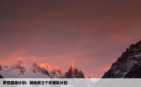 男性健身计划：器械房三个月增肌计划