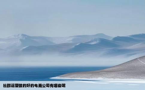 社群运营做的好的电商公司有哪些呢