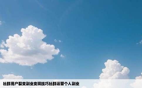 社群用户裂变副业变现技巧社群运营个人副业