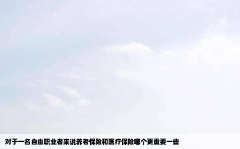 对于一名自由职业者来说养老保险和医疗保险哪个更重要一些