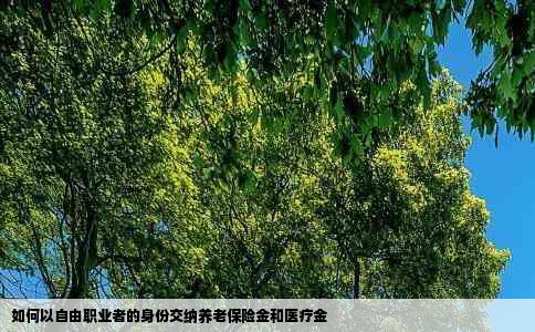 如何以自由职业者的身份交纳养老保险金和医疗金