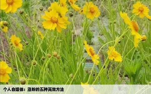 个人自媒体：涨粉的五种高效方法