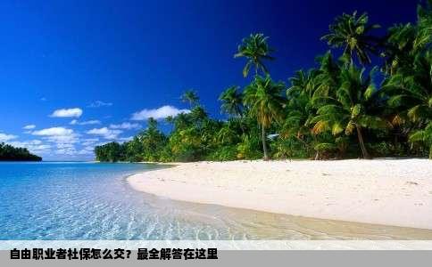 自由职业者社保怎么交？最全解答在这里