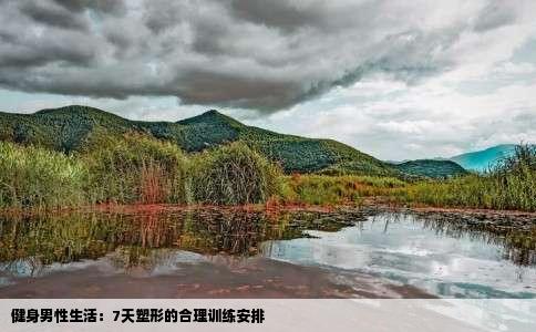 健身男性生活：7天塑形的合理训练安排
