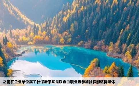 之前在企业单位买了社保后来又是以自由职业者参加社保那这样退休