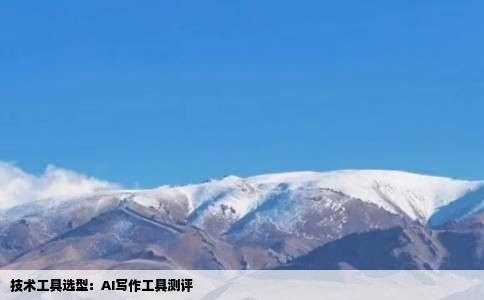 技术工具选型：AI写作工具测评