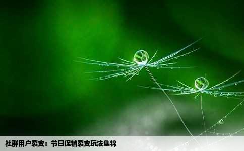 社群用户裂变：节日促销裂变玩法集锦