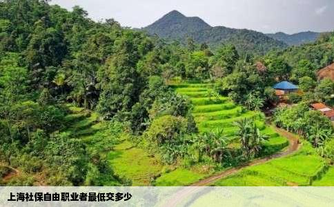 上海社保自由职业者最低交多少