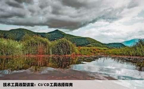 技术工具选型讲堂：CI/CD工具选择指南