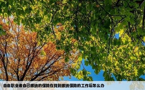 自由职业者自己缴纳的保险在找到缴纳保险的工作后怎么办