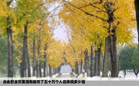 自由职业交医保有病花了五十万个人应承担多少钱