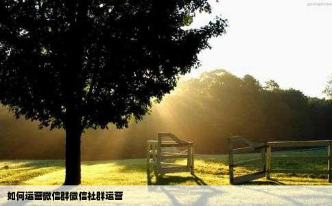 如何运营微信群微信社群运营