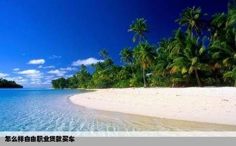 怎么样自由职业贷款买车