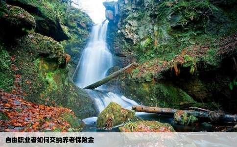 自由职业者如何交纳养老保险金