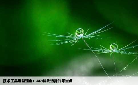 技术工具选型理由：API优先选择的考量点