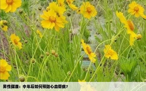 男性健康：中年后如何预防心血管病？