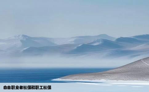 自由职业者社保和职工社保