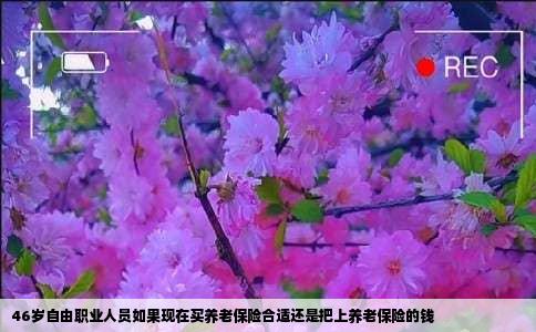 46岁自由职业人员如果现在买养老保险合适还是把上养老保险的钱