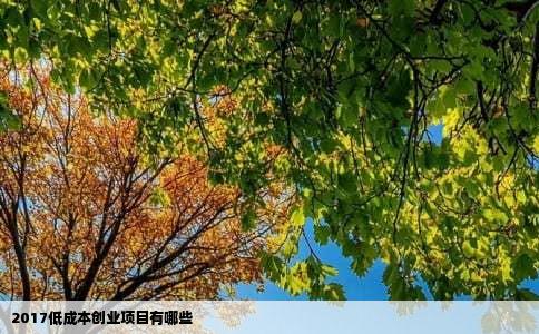 2017低成本创业项目有哪些
