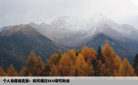 个人自媒体流量：如何通过SEO吸引粉丝