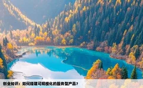 创业知识：如何搭建可规模化的服务型产品？