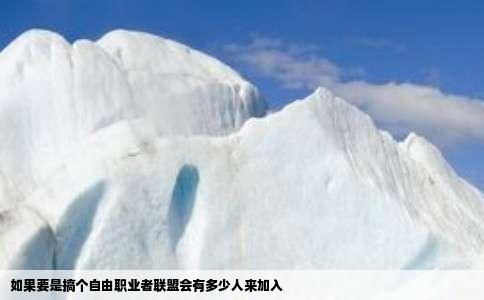 如果要是搞个自由职业者联盟会有多少人来加入