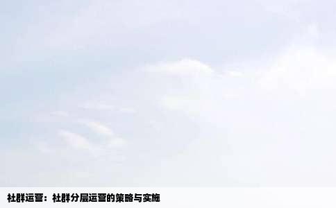 社群运营：社群分层运营的策略与实施