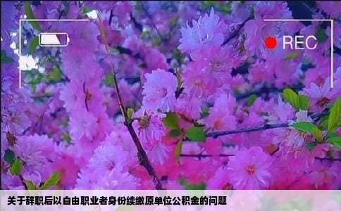 关于辞职后以自由职业者身份续缴原单位公积金的问题