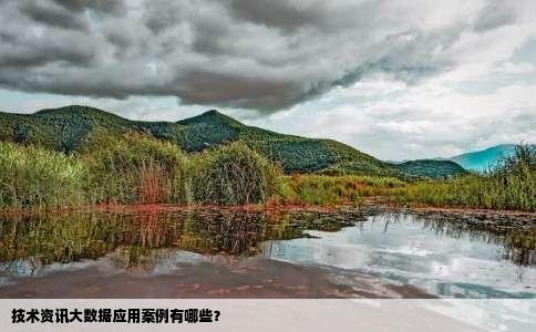 技术资讯大数据应用案例有哪些？