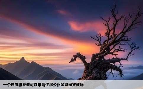 一个自由职业者可以申请住房公积金管理贷款吗
