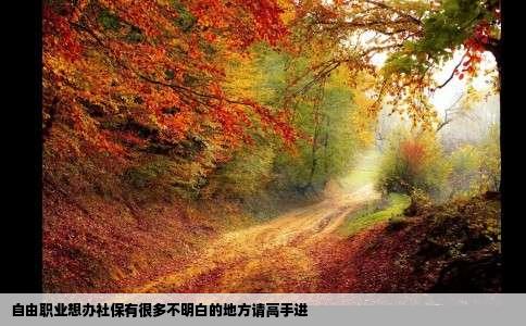 自由职业想办社保有很多不明白的地方请高手进