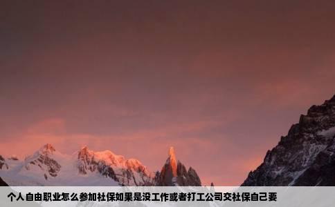 个人自由职业怎么参加社保如果是没工作或者打工公司交社保自己要