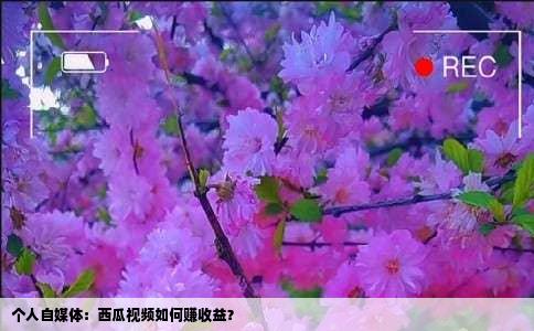 个人自媒体：西瓜视频如何赚收益？