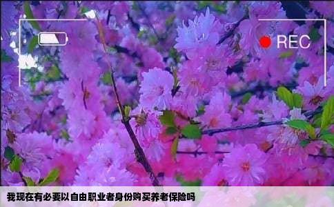 我现在有必要以自由职业者身份购买养老保险吗